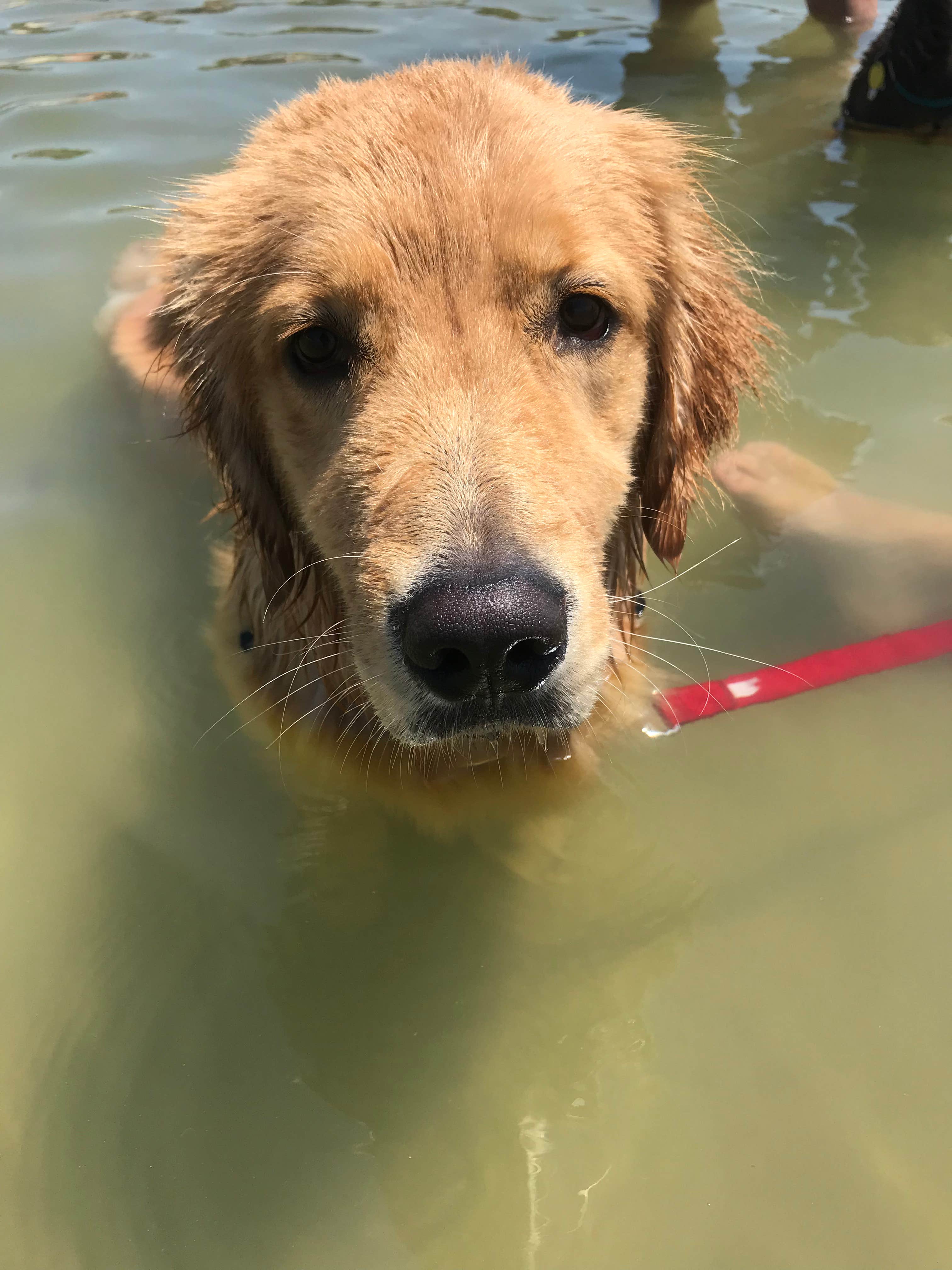 Camper-submitted photo at Chesapeake Beach KOA near Cheriton, VA