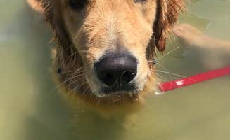 Kathie M.'s photo of camping with pets at Chesapeake Beach KOA near Newport News, VA
