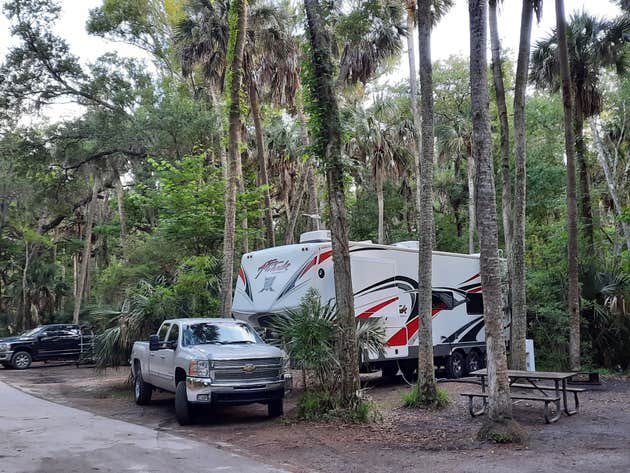 Are Dogs Allowed At Hanna Park Campground?
