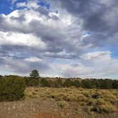 Review photo of Walnut Canyon Rd Dispersed Camping - CLOSED UNTIL 2025 by marie A., May 7, 2021