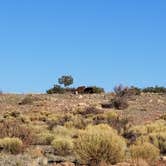 Review photo of Walnut Canyon Rd Dispersed Camping - CLOSED UNTIL 2025 by marie A., May 7, 2021