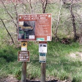 Review photo of Tongue Canyon Campground by Nancy C., May 7, 2021
