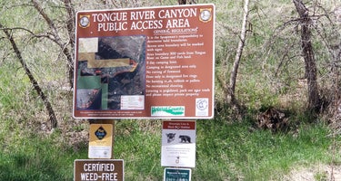 Tongue Canyon Campground