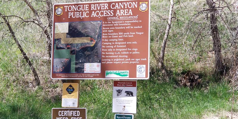 Camper submitted image from Tongue Canyon Campground