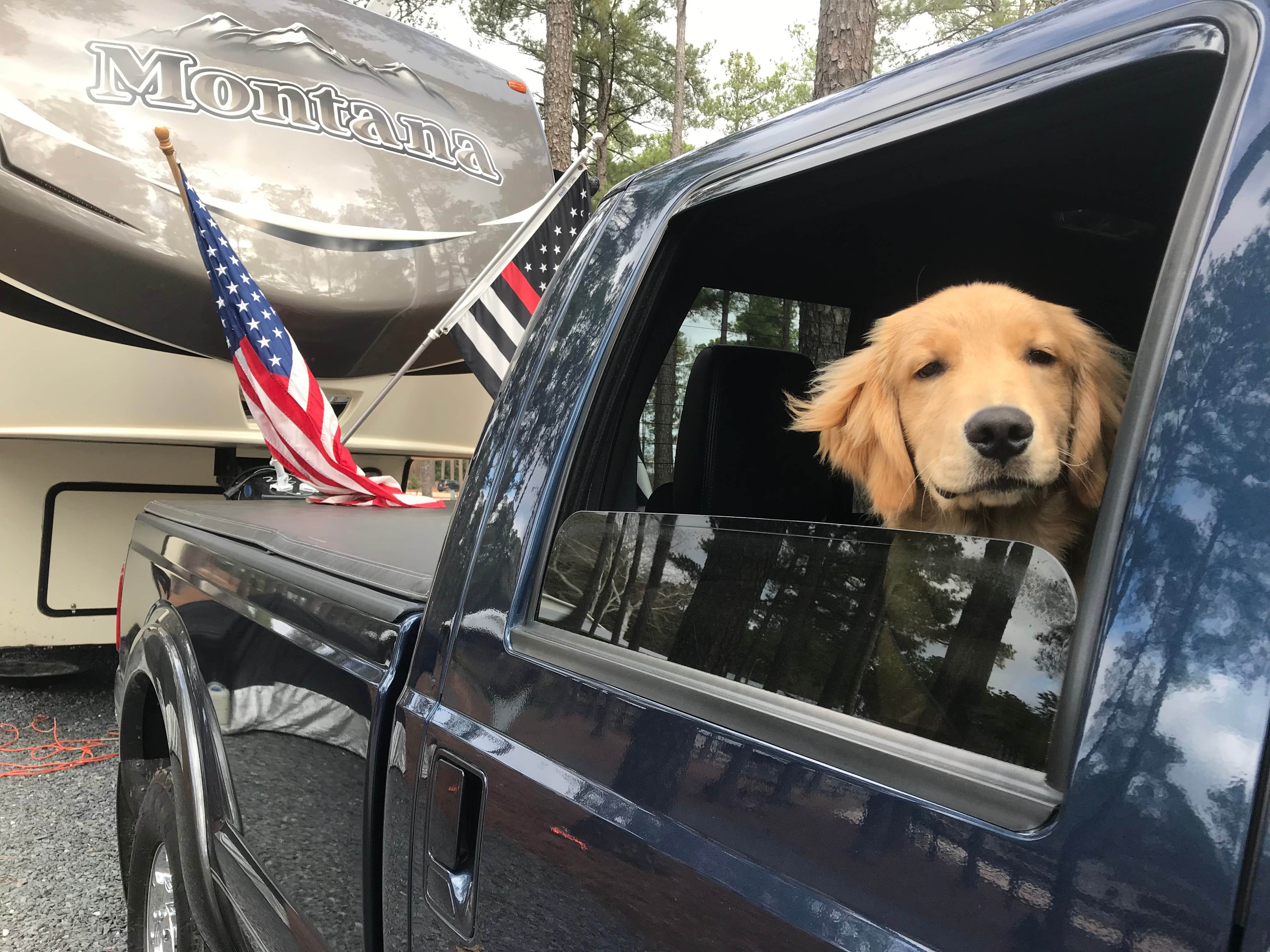 Kathie M.'s photo of camping with pets at Sycamore Lodge near Sanford, NC