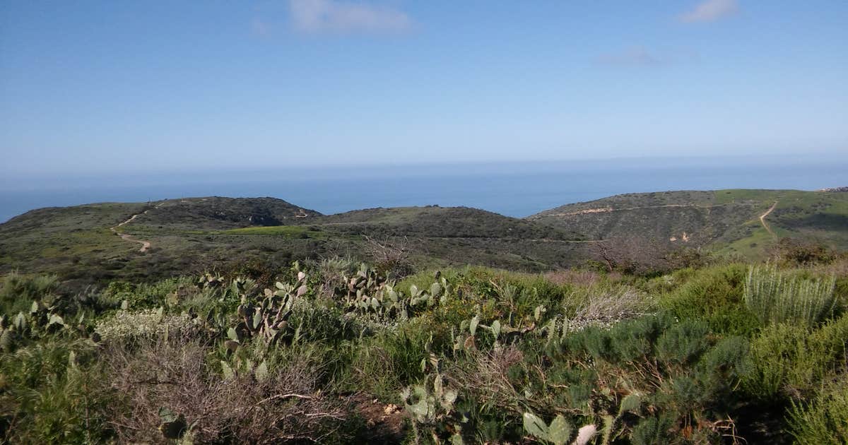 Crystal Cove Backcountry — Crystal Cove State Park Camping | Laguna ...