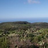 Review photo of Crystal Cove Backcountry — Crystal Cove State Park by Peter R., May 2, 2021