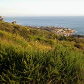 Review photo of Crystal Cove Backcountry — Crystal Cove State Park by Peter R., May 2, 2021