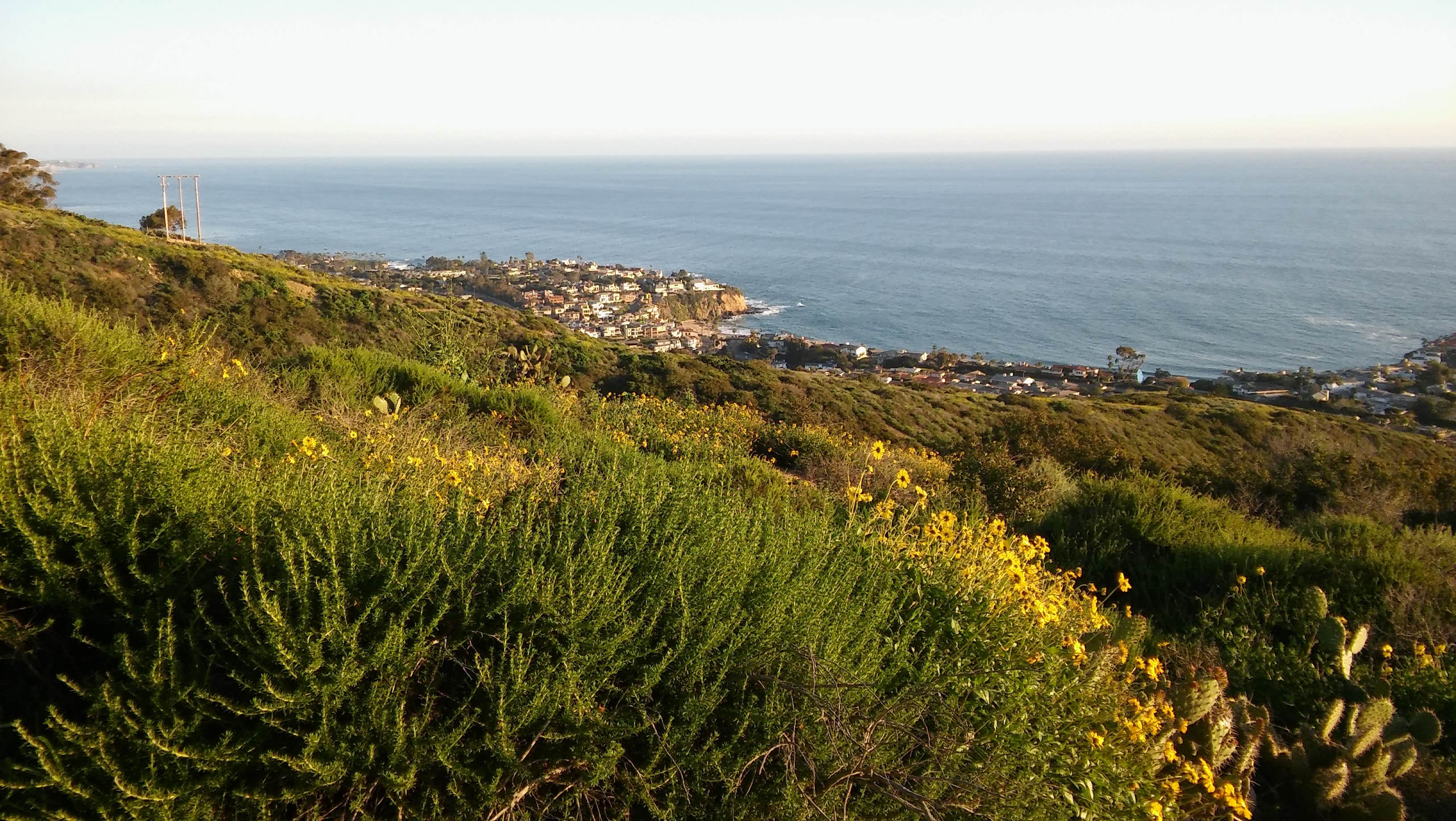 Camper submitted image from Crystal Cove Backcountry — Crystal Cove State Park - 5