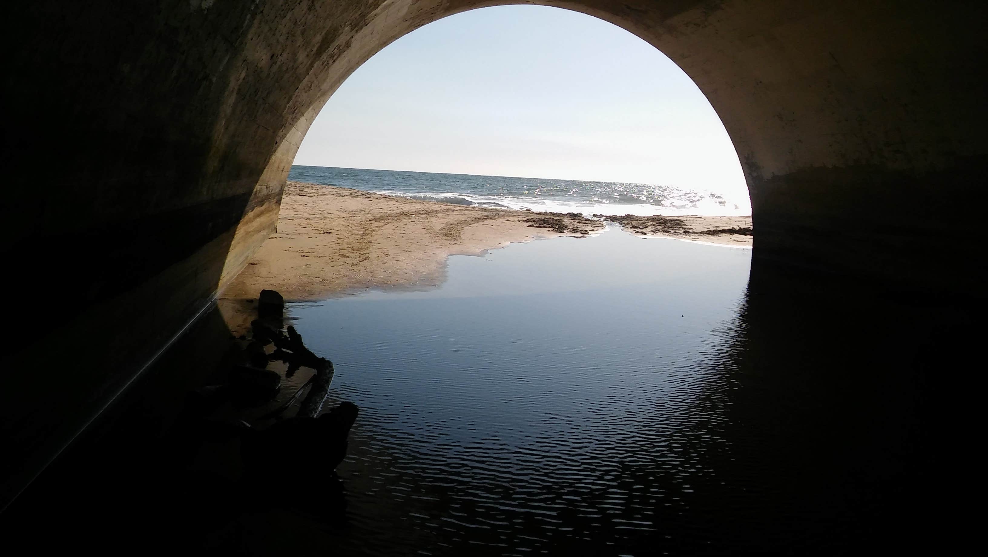 Camper submitted image from Crystal Cove Backcountry — Crystal Cove State Park - 5