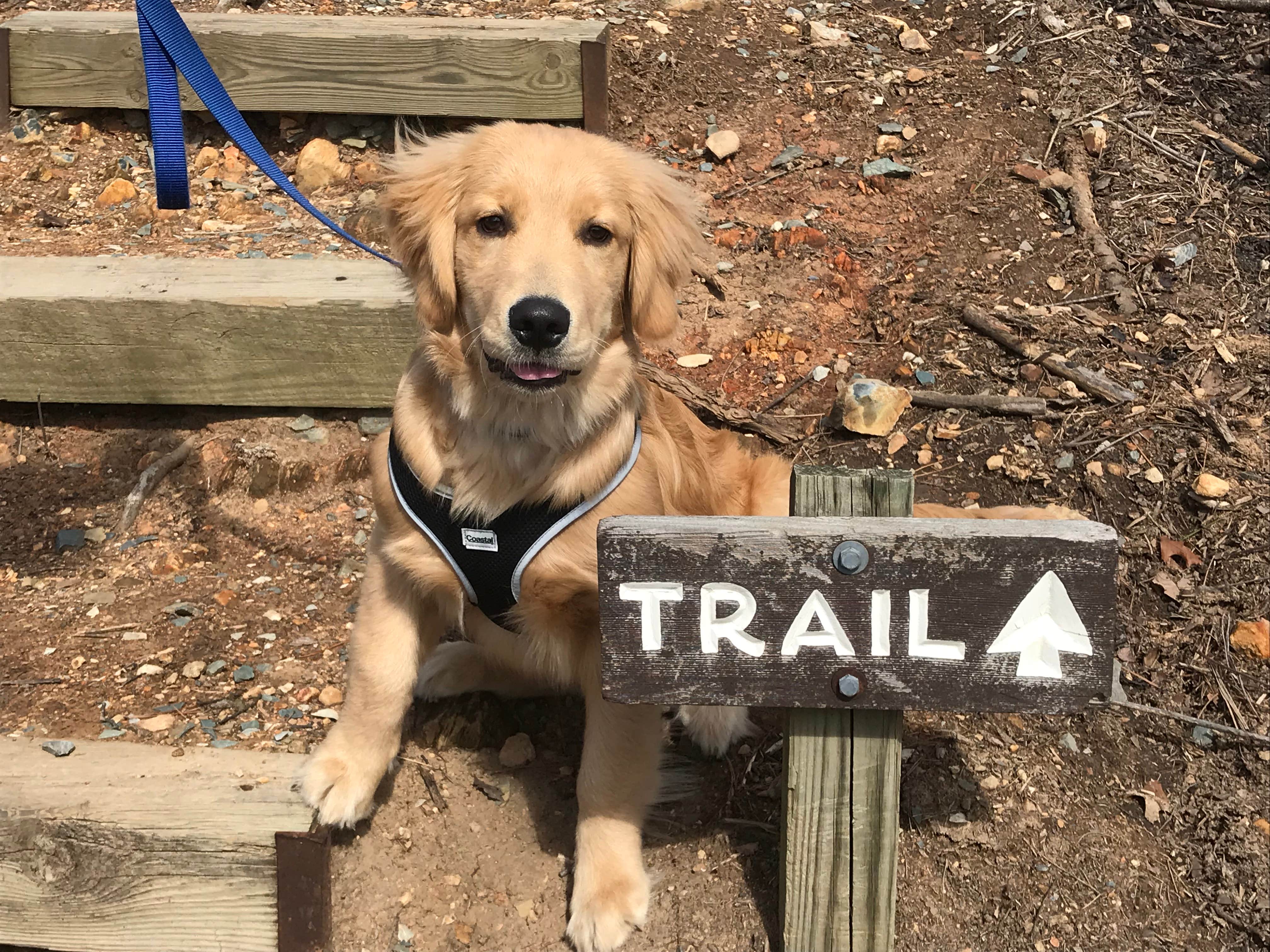 Camper-submitted photo at Sycamore Lodge near Rockingham, NC