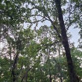 Review photo of Poinsett State Park Campground by Melissa W., May 7, 2021