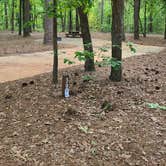 Review photo of Poinsett State Park Campground by Melissa W., May 7, 2021