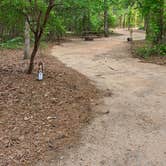 Review photo of Poinsett State Park Campground by Melissa W., May 7, 2021