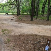Review photo of Poinsett State Park Campground by Melissa W., May 7, 2021
