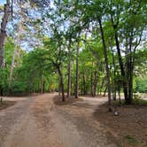 Review photo of Poinsett State Park Campground by Melissa W., May 7, 2021