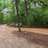 Review photo of Poinsett State Park Campground by Melissa W., May 7, 2021