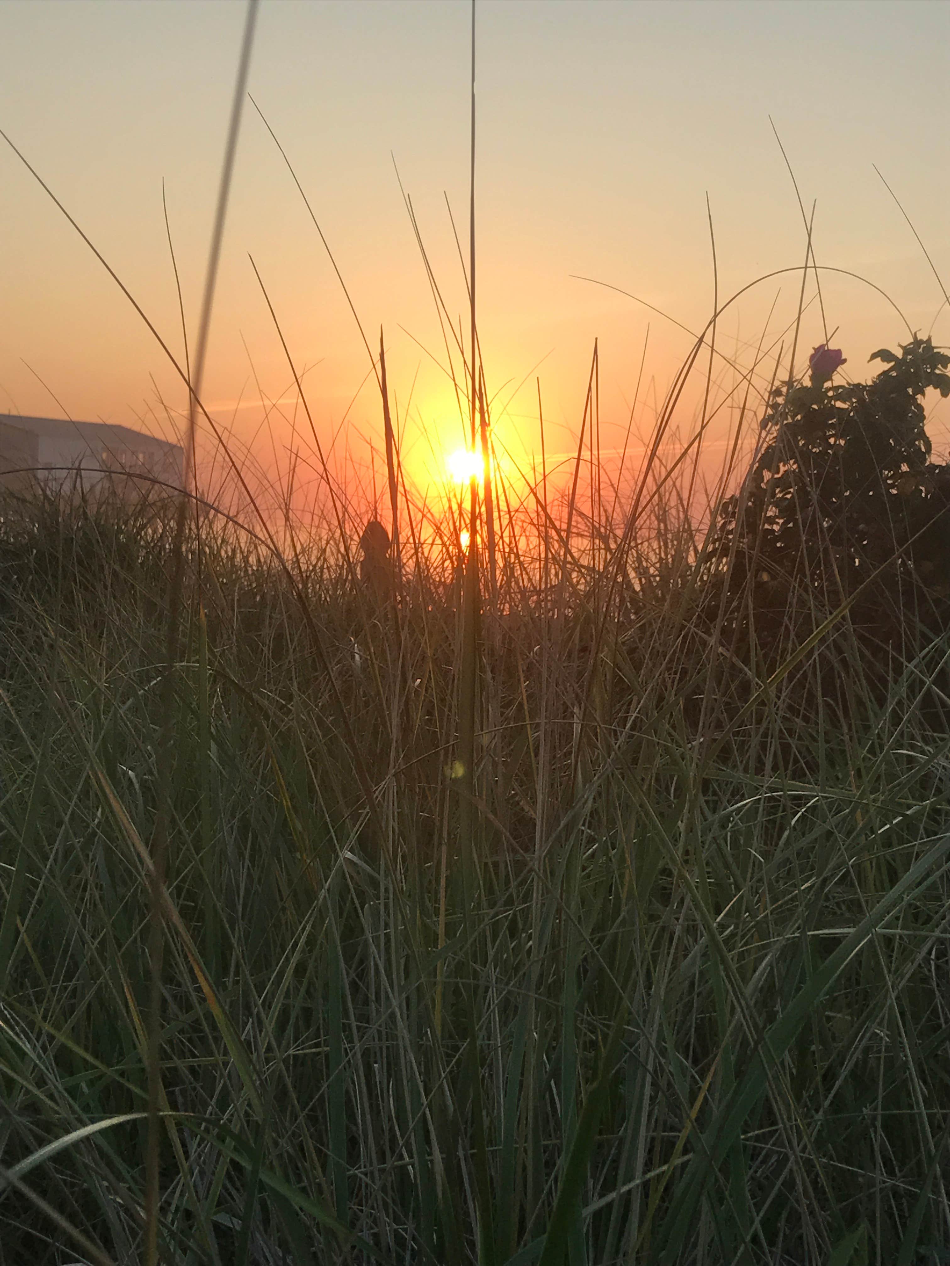 Sun Outdoors Cape Charles Camping Cape Charles, VA