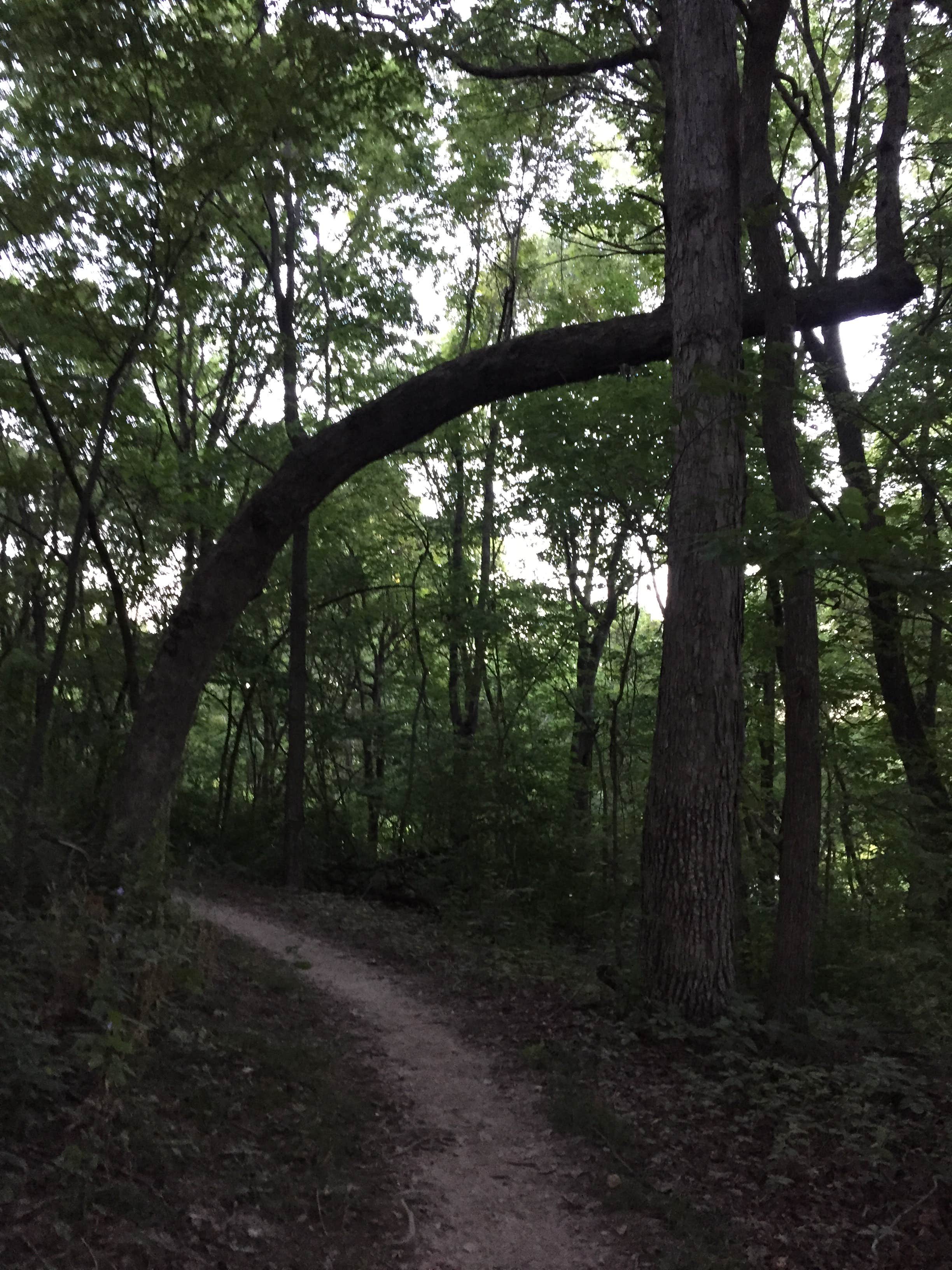 Camper-submitted photo at Dr. Edmund A. Babler Memorial State Park Campground near Normandy, MO