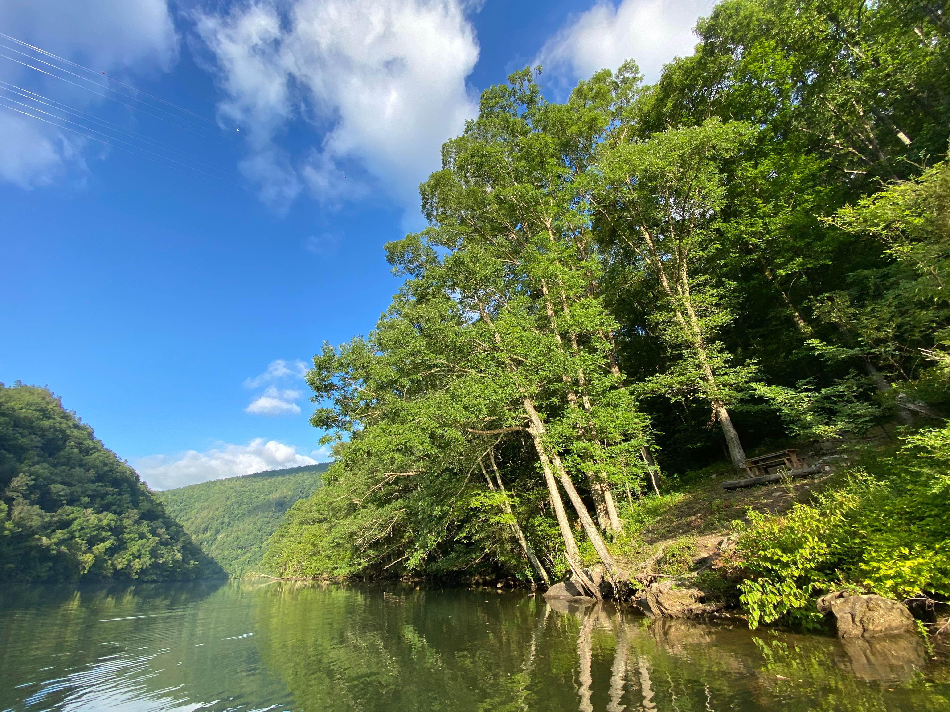Tyler J.'s photo of a dispersed camping area at Calderwood Lake Primitive campground near Etowah, TN