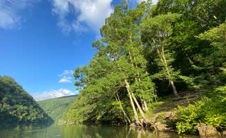 Tyler J.'s photo of a dispersed camping area at Calderwood Lake Primitive campground near Madisonville, TN