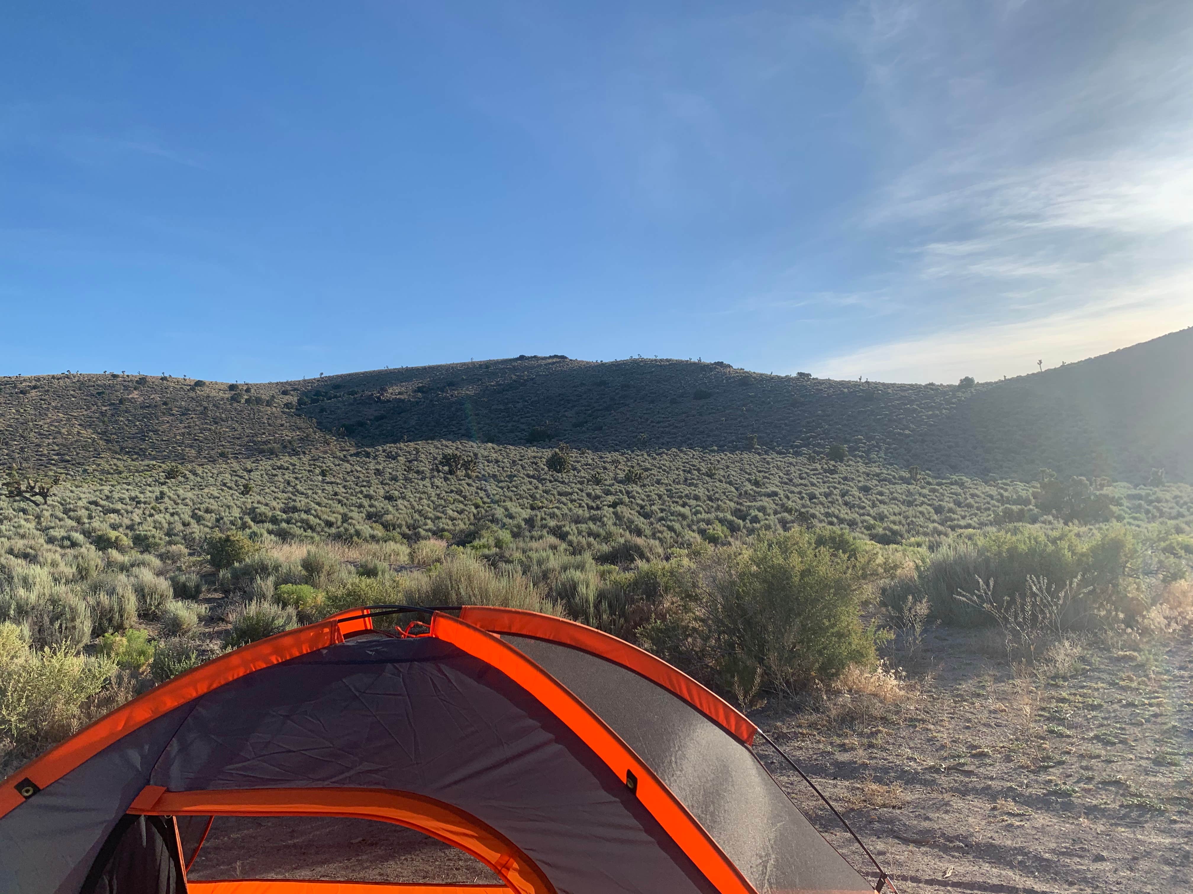 Camper submitted image from #375 off Extraterrestrial Highway - 1