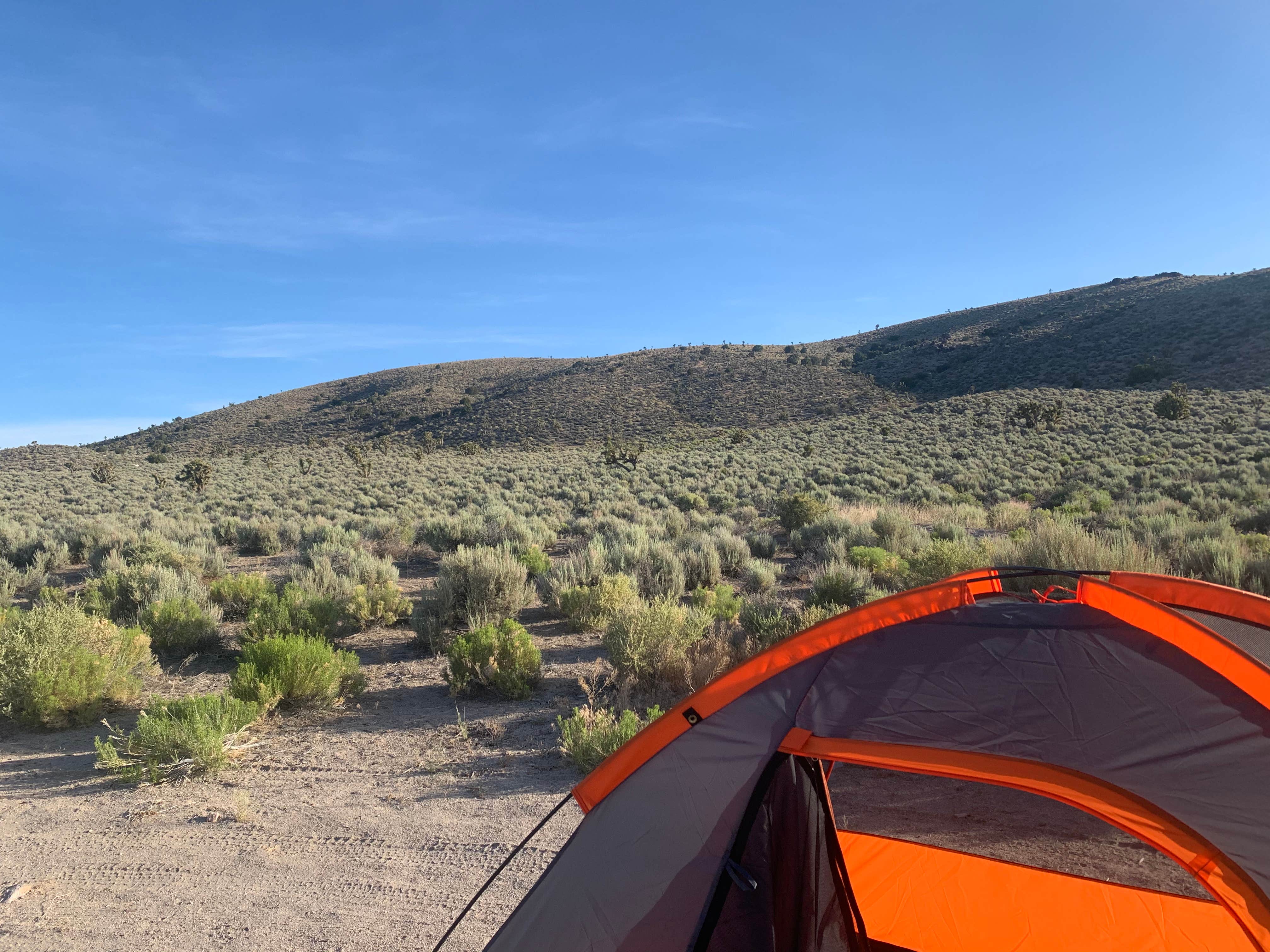 Camper-submitted photo at #375 off Extraterrestrial Highway near Humboldt-Toiyabe National Forest Headquarters