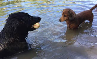 Mel F.'s photo of camping with pets at Robertsville State Park Campground near Fenton, MO