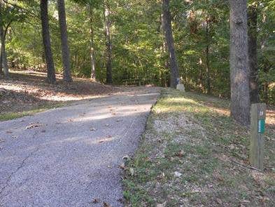 Camper submitted image from Webb Creek Park - 2