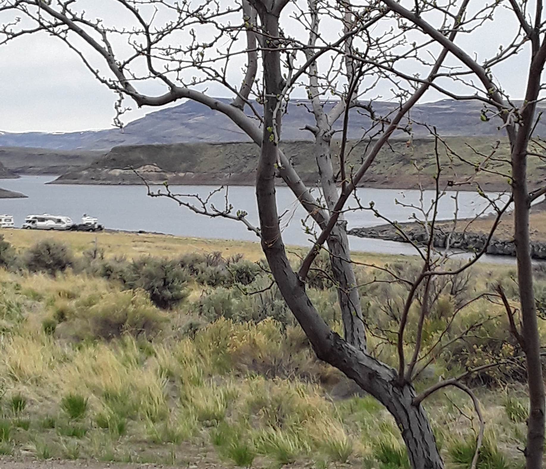 Camping near Saguaro RV Park at Cactus Petes Resort Casino: Lud Drexler Park, Rogerson, Idaho