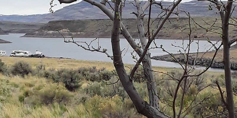 Camper submitted image from Lud Drexler Park