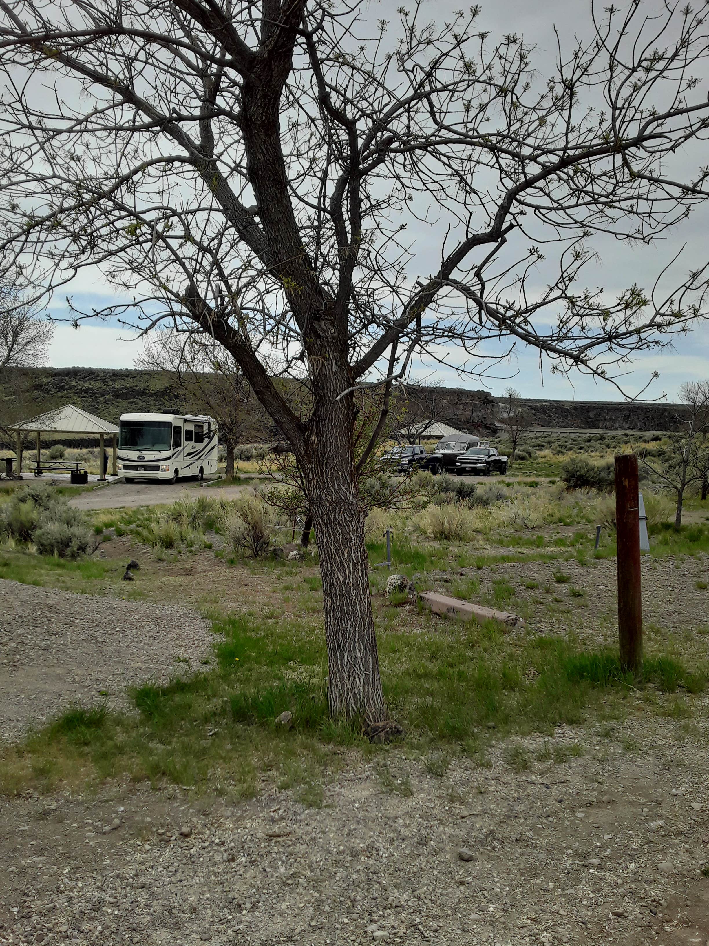 Camper submitted image from Lud Drexler Park - 2