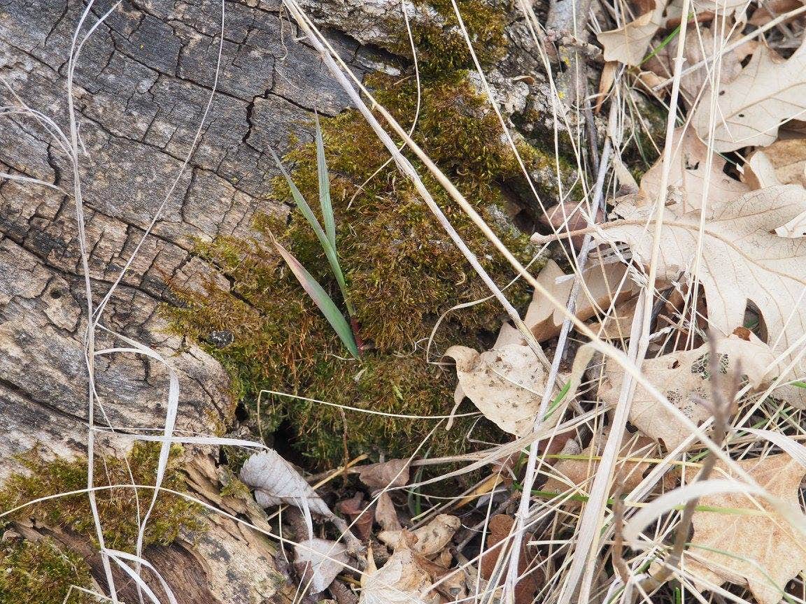 Camper-submitted photo at BLM Schnell Recreation Area in North Dakota