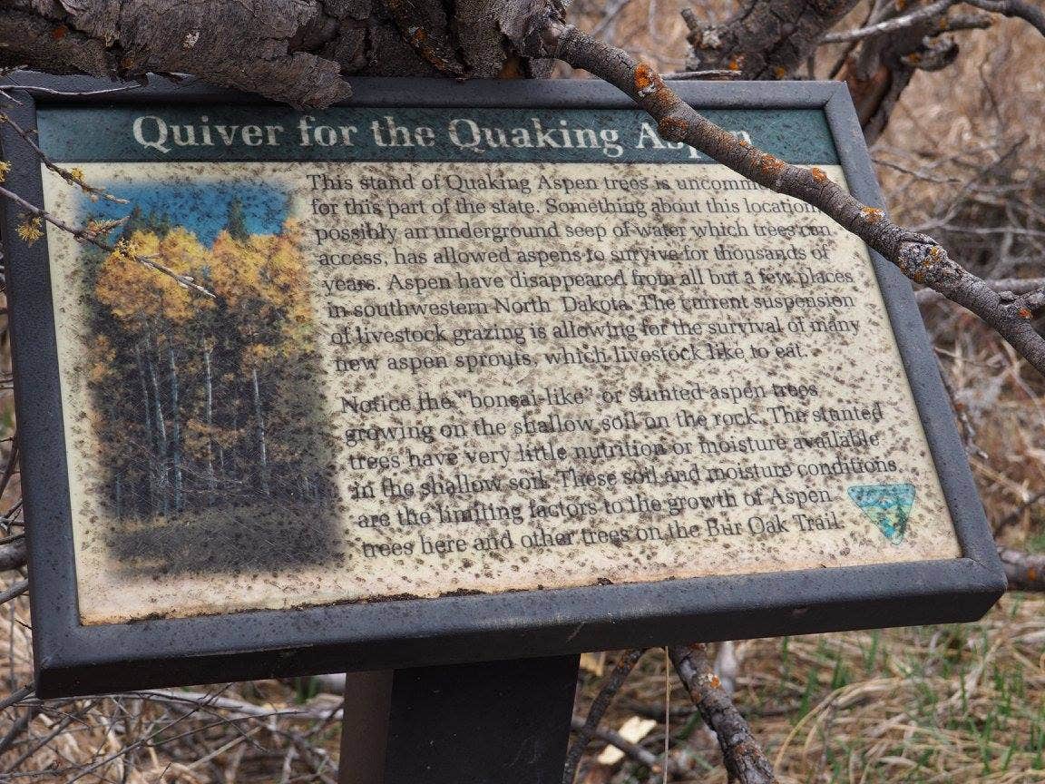 Camper-submitted photo at BLM Schnell Recreation Area in North Dakota