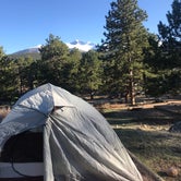 Review photo of Moraine Park Campground — Rocky Mountain National Park by Braden W., May 7, 2021