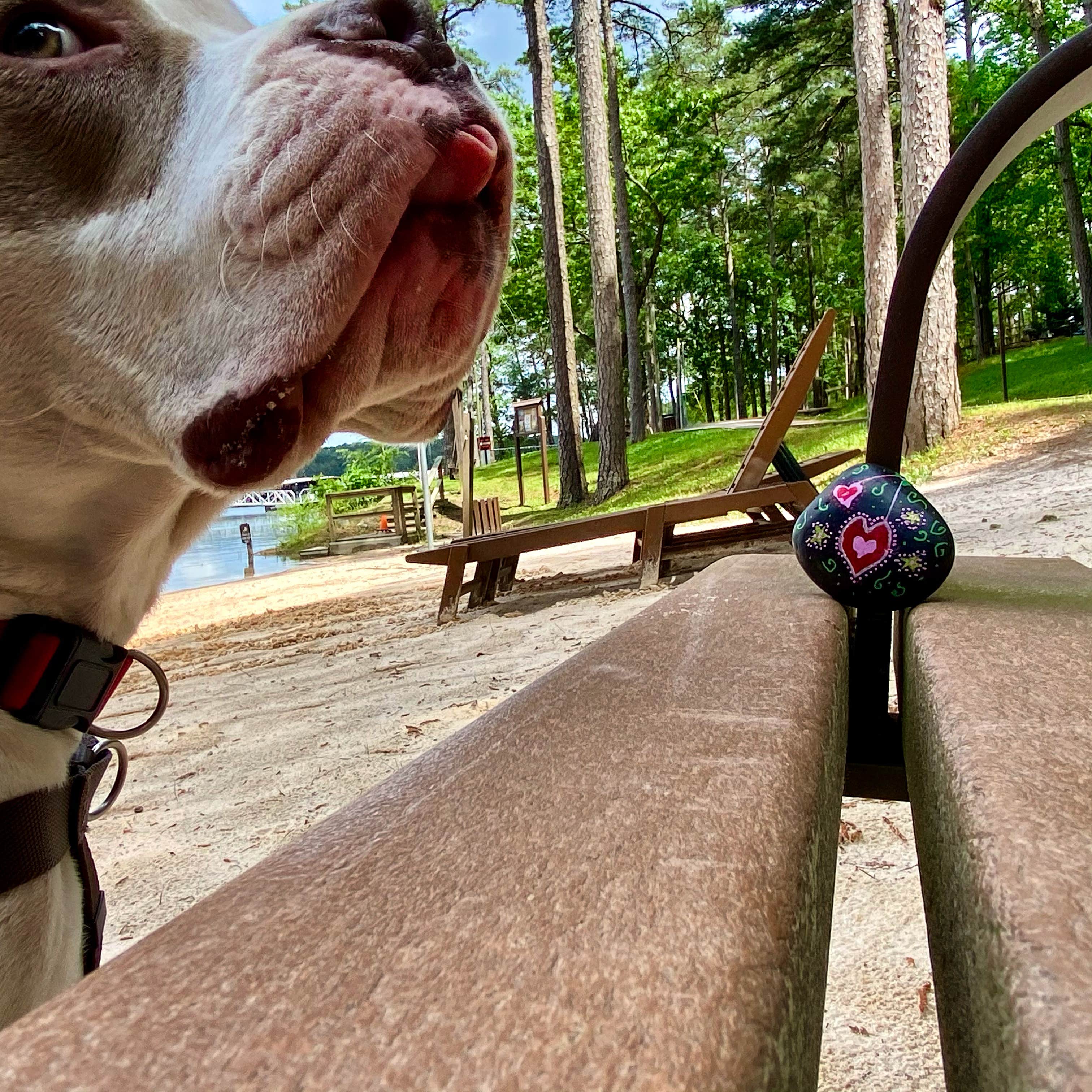 Military Park Atlanta Naval Air Station Navy Lake Site at Allatoona