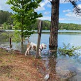 Review photo of Military Park Atlanta Naval Air Station Navy Lake Site at Allatoona by Linda S., May 7, 2021