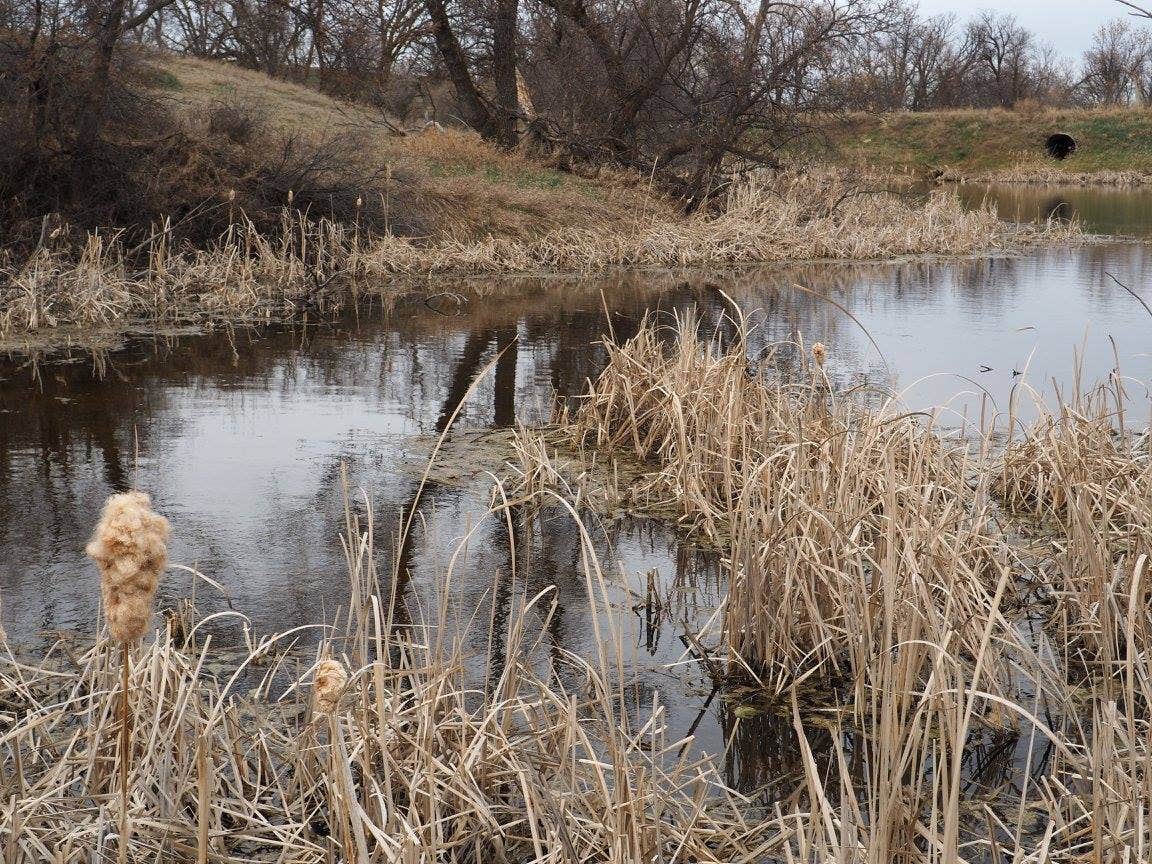 Camper-submitted photo at BLM Schnell Recreation Area in North Dakota
