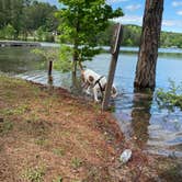 Review photo of Military Park Atlanta Naval Air Station Navy Lake Site at Allatoona by Linda S., May 7, 2021