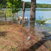 Review photo of Military Park Atlanta Naval Air Station Navy Lake Site at Allatoona by Linda S., May 7, 2021