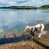 Review photo of Military Park Atlanta Naval Air Station Navy Lake Site at Allatoona by Linda S., May 7, 2021