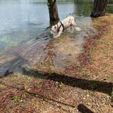 Review photo of Military Park Atlanta Naval Air Station Navy Lake Site at Allatoona by Linda S., May 7, 2021