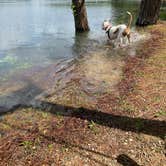 Review photo of Military Park Atlanta Naval Air Station Navy Lake Site at Allatoona by Linda S., May 7, 2021