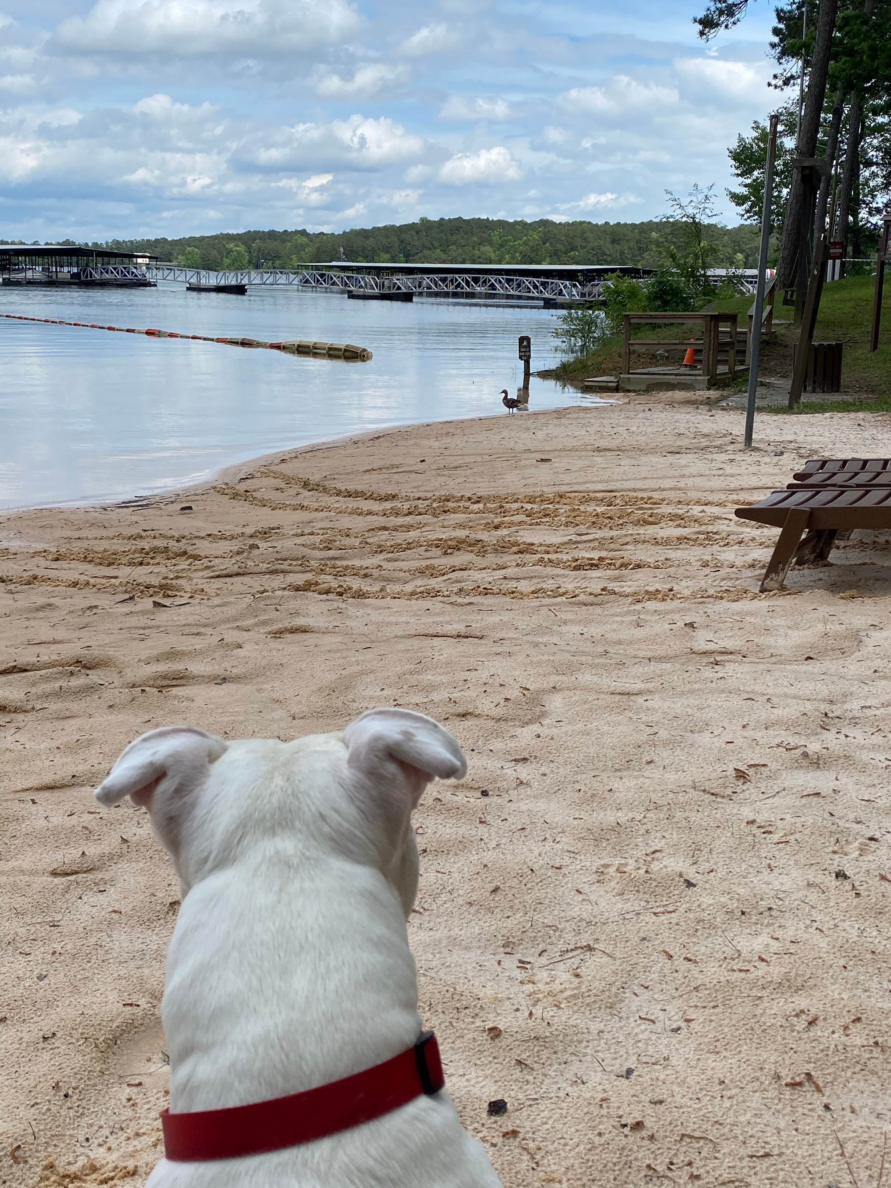 Military Park Atlanta Naval Air Station Navy Lake Site at Allatoona ...