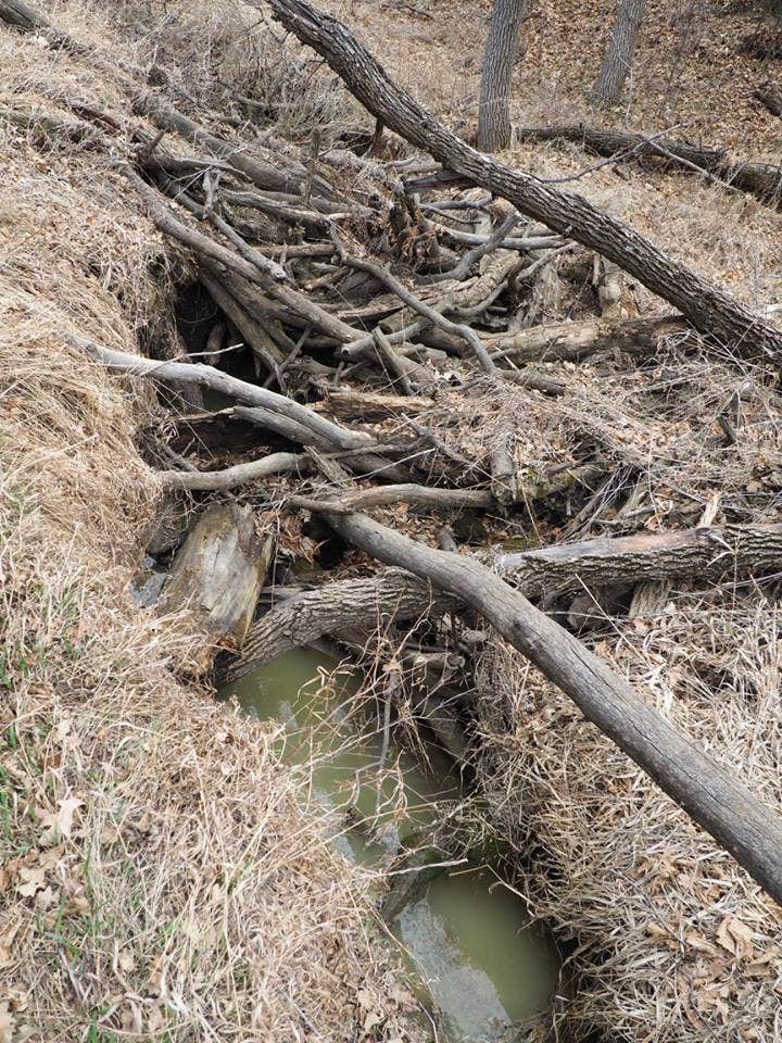 Camper-submitted photo at BLM Schnell Recreation Area in North Dakota