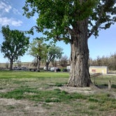 Review photo of Cow Hollow Park by MeLinda W., May 6, 2021