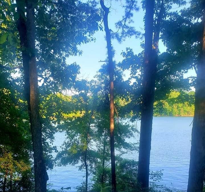 View All