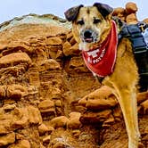 Review photo of Goblin Valley State Park by Joseph B., May 8, 2021