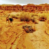 Review photo of Goblin Valley State Park by Joseph B., May 8, 2021