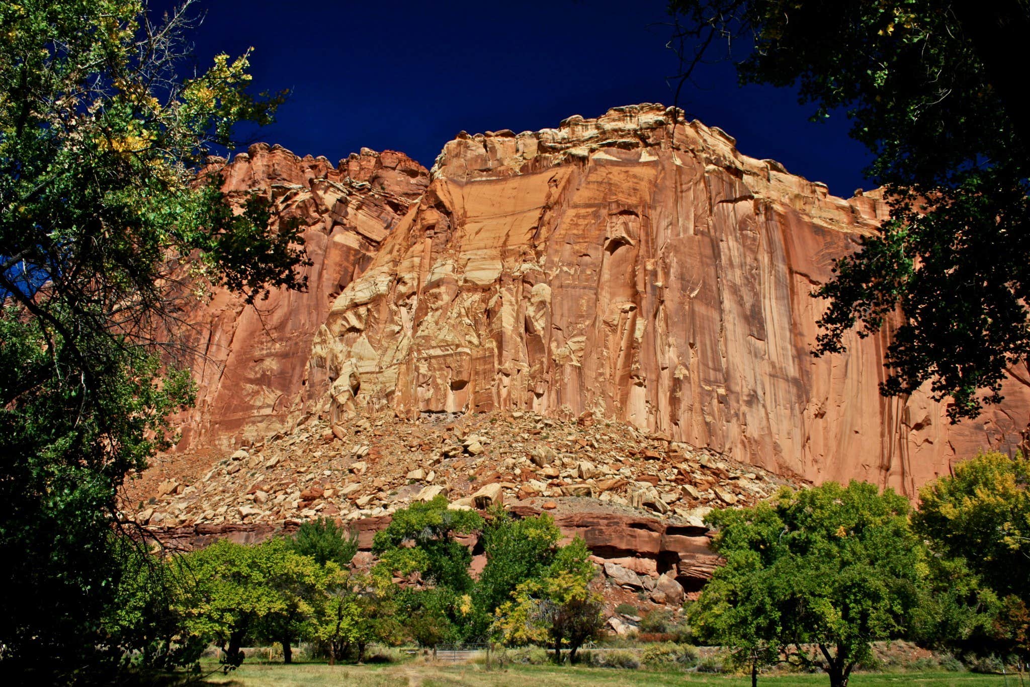 Camper submitted image from Cedar Mesa Campground — Capitol Reef National Park - 5